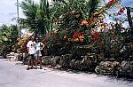 thumb-curacao-033.jpg 6.8K